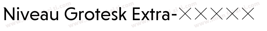 Niveau Grotesk Extra字体转换